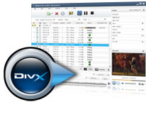 DVD to DivX converter